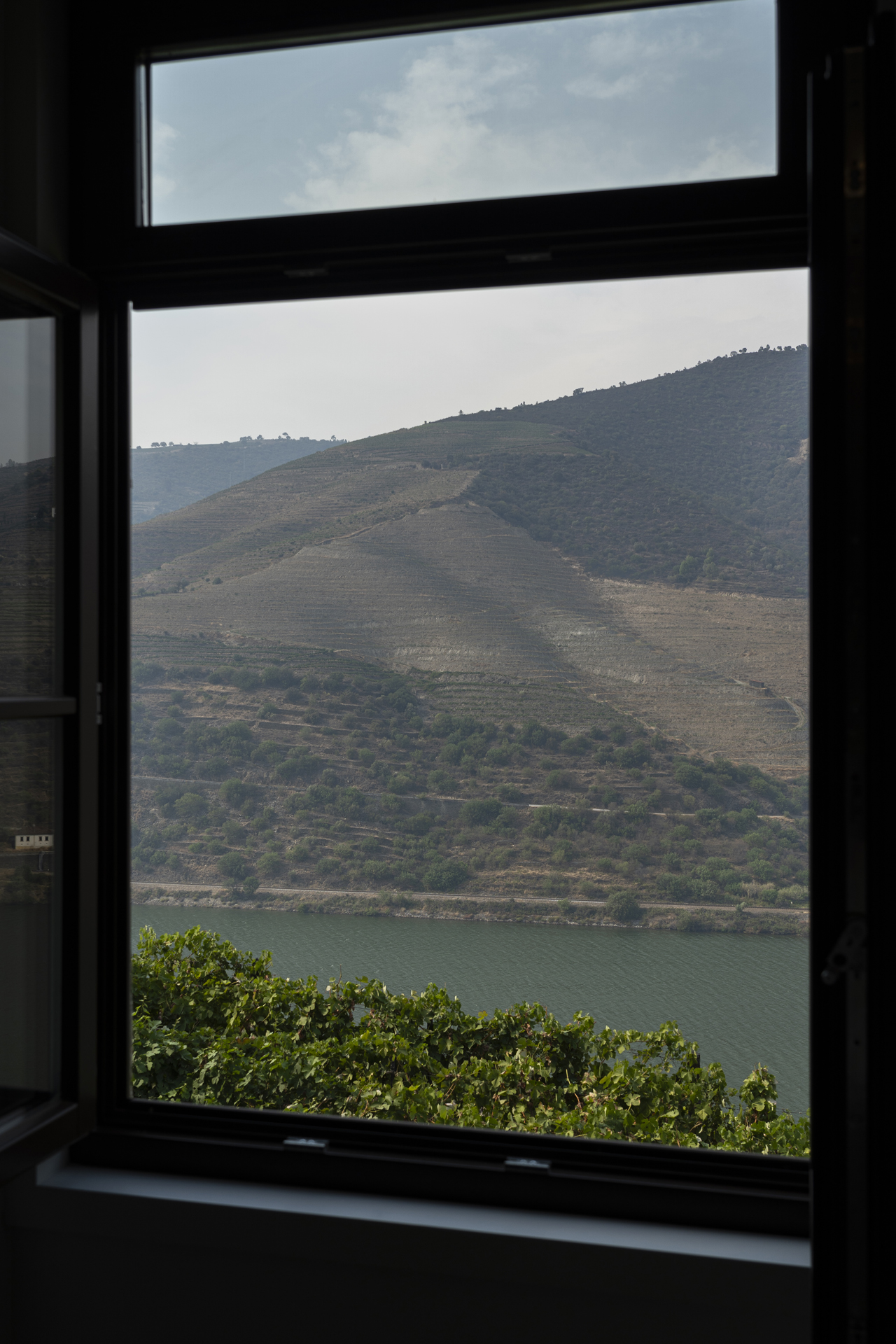 Vista